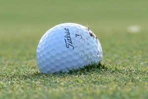 GolfNational_ballpitchmark